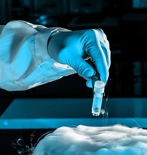 Egg Freezing near Saket, Delhi at Pravi Global IVF
