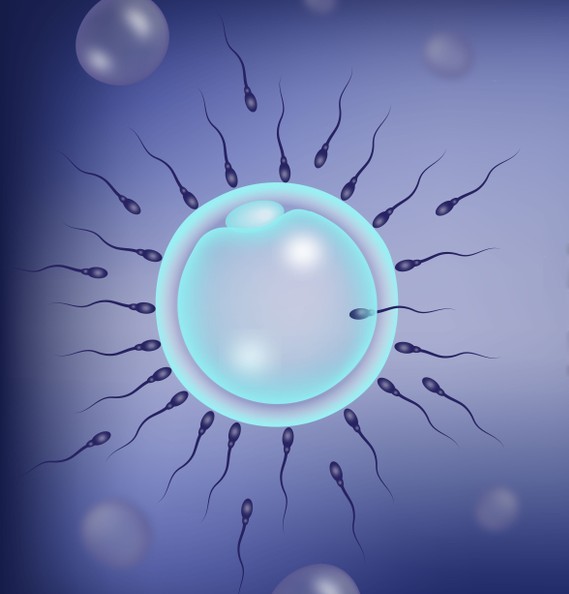 IVF Treatment near Saket, Delhi at Pravi Global IVF